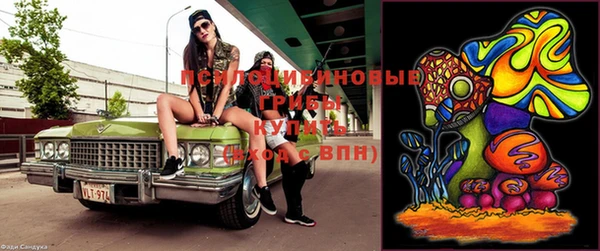 марки lsd Осинники