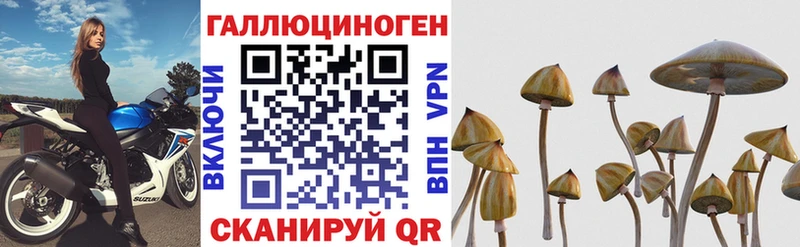 Галлюциногенные грибы MAGIC MUSHROOMS Сретенск